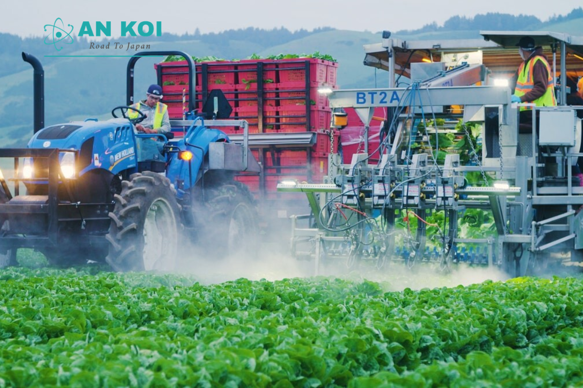 Xu hướng du học Nhật Bản Lâm nghiệp Việt Nam thế hệ mới