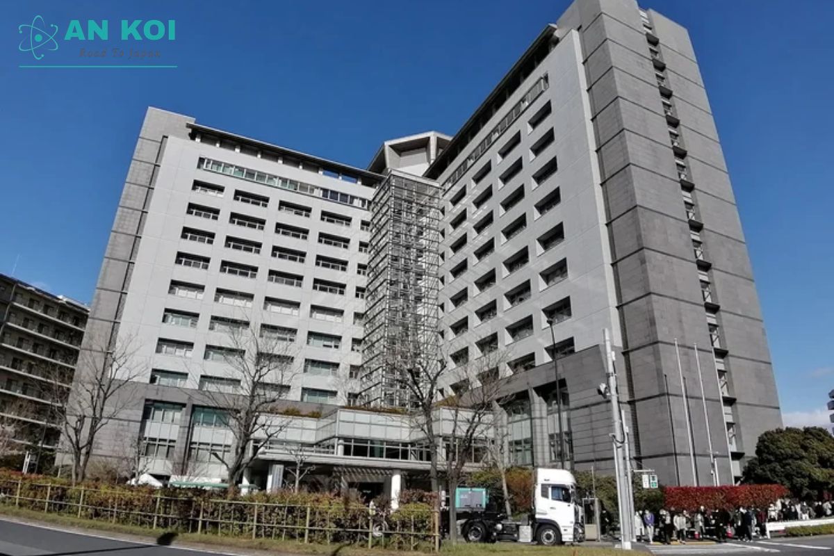 Cục xuất nhập cảnh Tokyo ở đâu? Thông tin liên hệ chi tiết 2026 