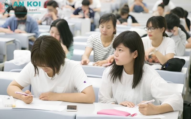 神戸大学 の優れた学術プログラム