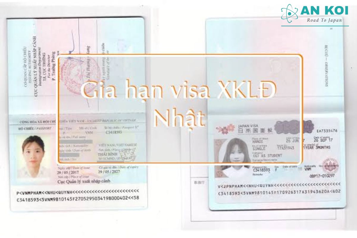 Hồ sơ cần chuẩn bị cho thủ tục gia hạn visa Nhật - Hồ sơ diện gia đình và du học