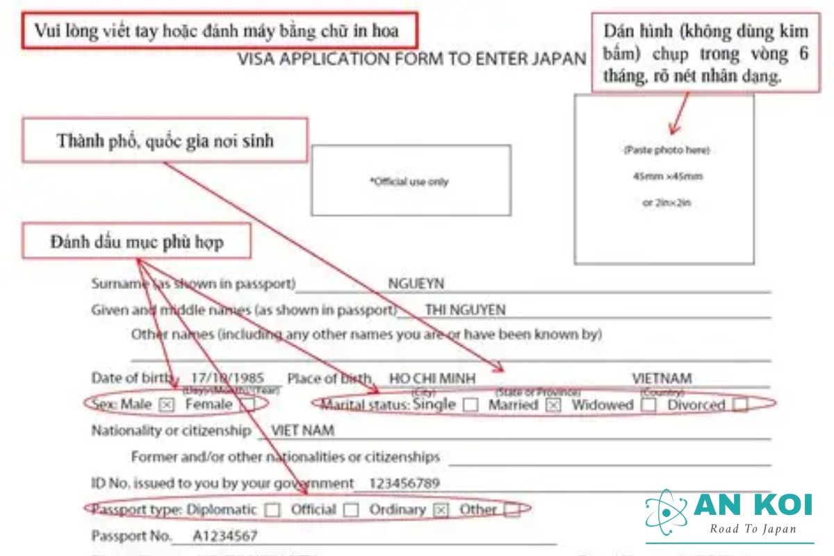 Illustration of checking personal information, address details, and forms before mailing the application.
