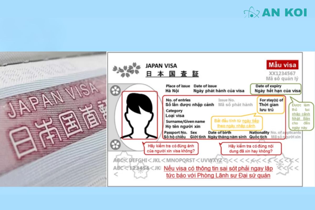 Documents from the guarantor in Japan may include a residence card, employment confirmation, and proof of income