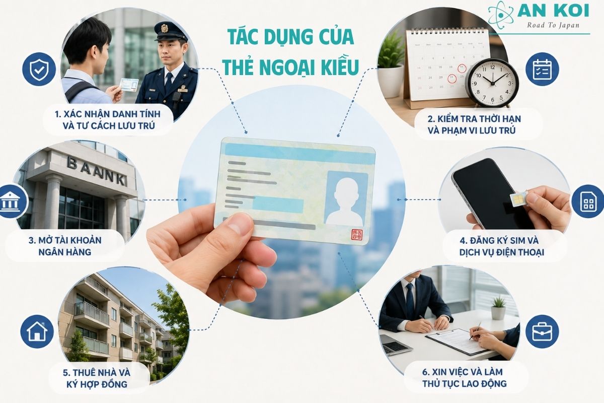 Thẻ ngoại kiều là gì khi xét đến vai trò xác nhận danh tính và tư cách lưu trú trong nhiều thủ tục hành chính tại Nhật